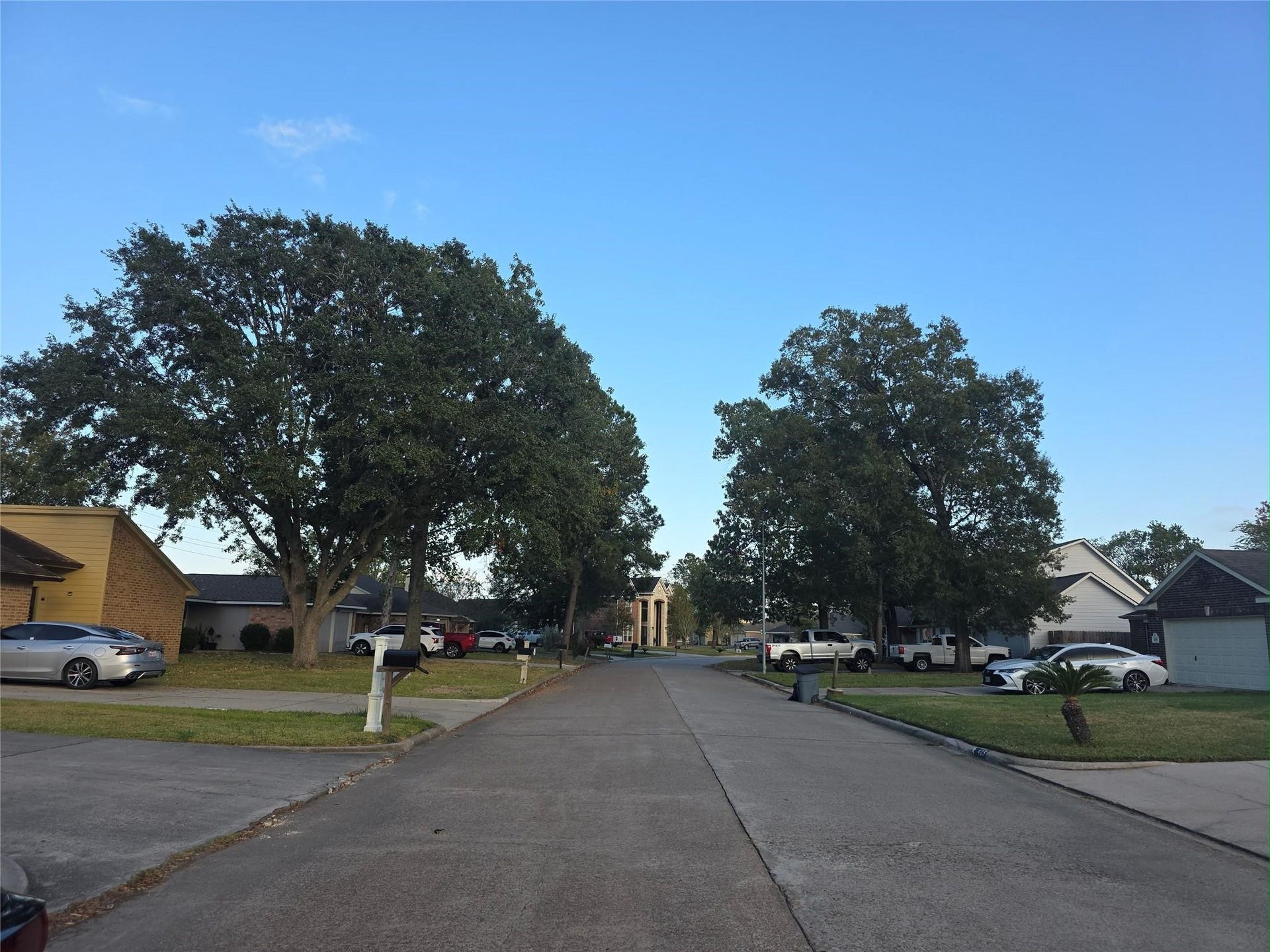 Charming suburban street lined with mature trees and well-kept homes, offering a peaceful residential atmosphere.