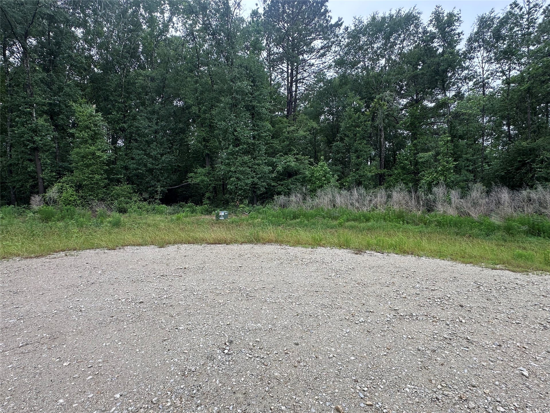 149 Hollow Hill Drive, New Waverly, TX 77340 149 Hollow Hill Drive, New Waverly, TX 77340
