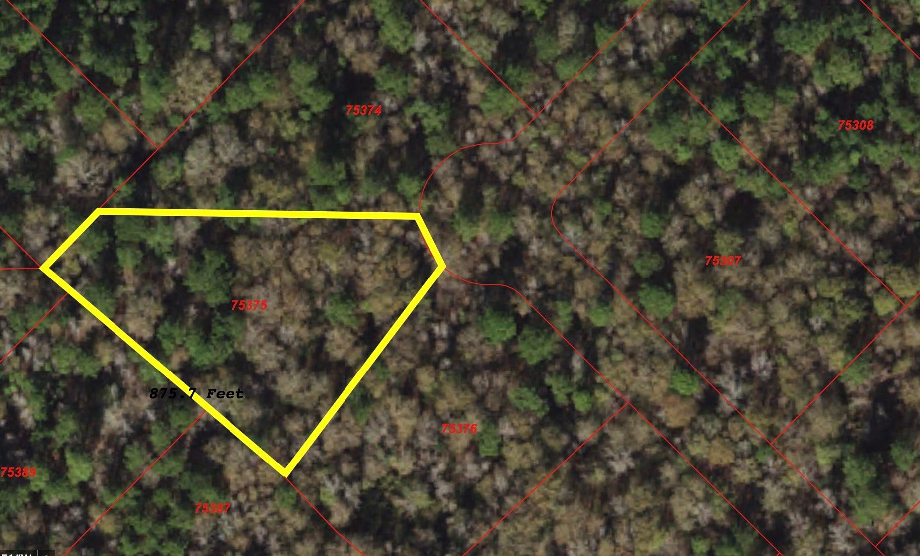 149 Hollow Hill Drive, New Waverly, TX 77340 149 Hollow Hill Drive, New Waverly, TX 77340