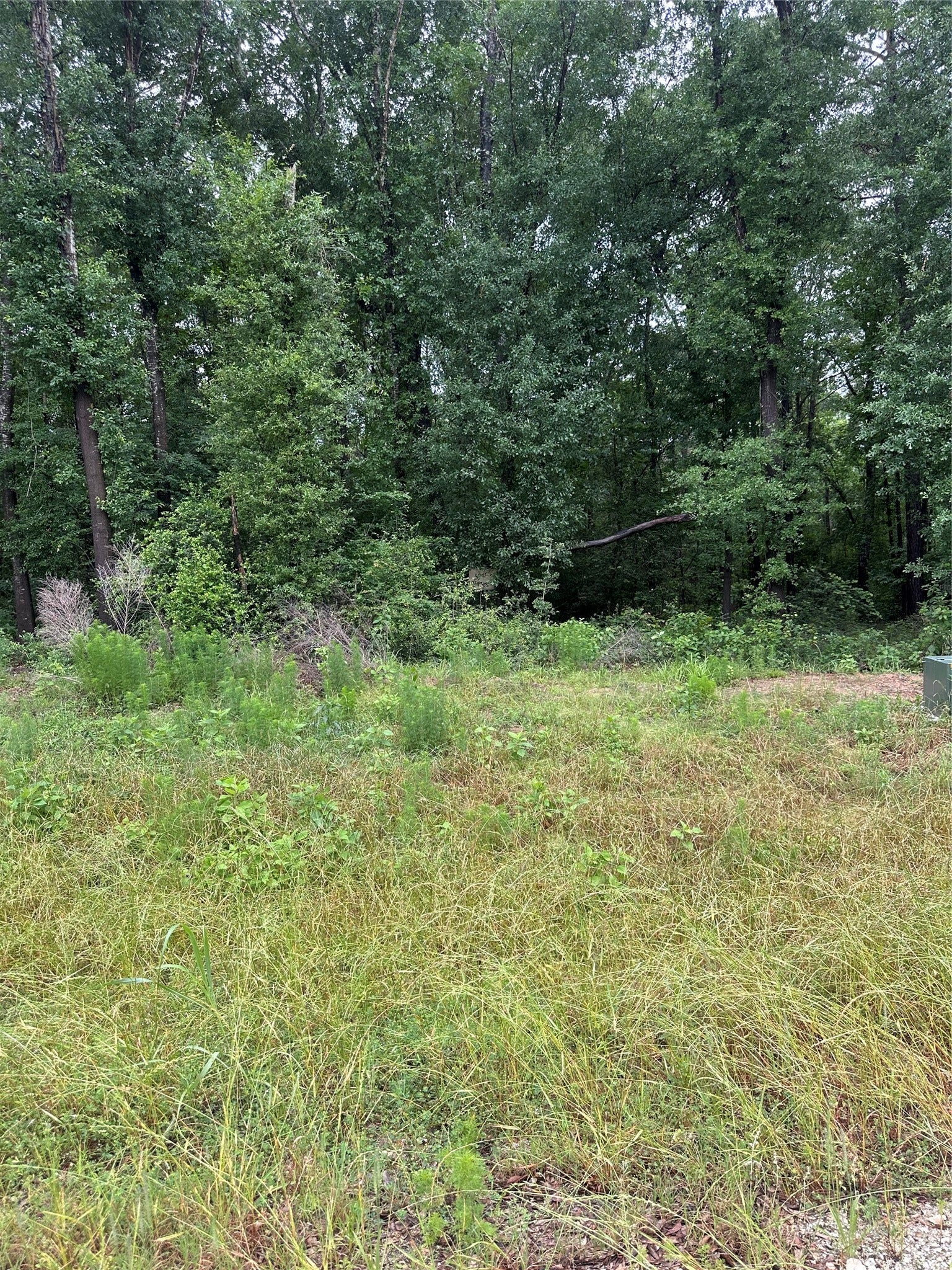 149 Hollow Hill Drive, New Waverly, TX 77340 149 Hollow Hill Drive, New Waverly, TX 77340