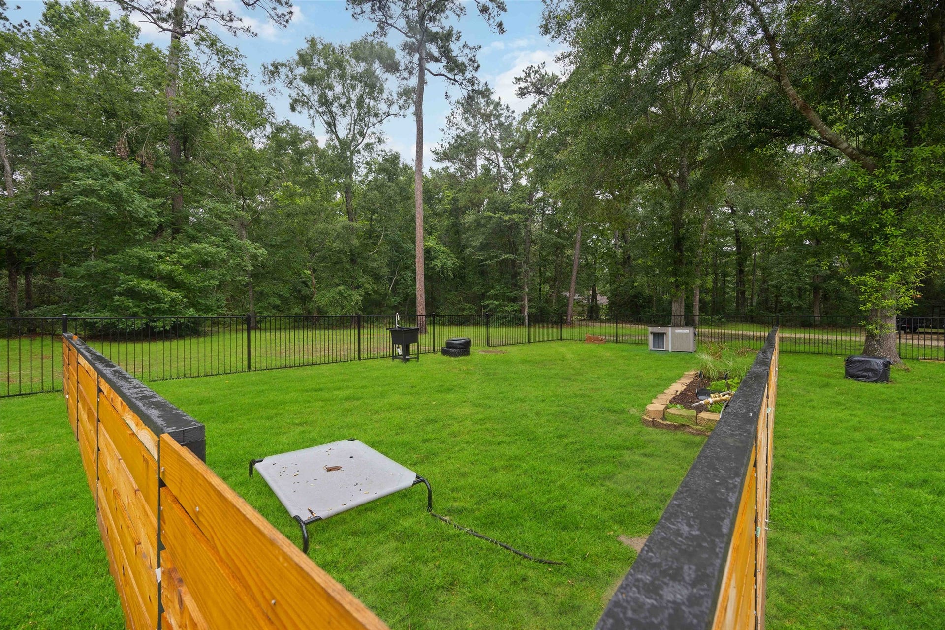 Custom Built Dog Playground