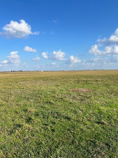 Property photo for 11401 FM 1994, Guy, TX