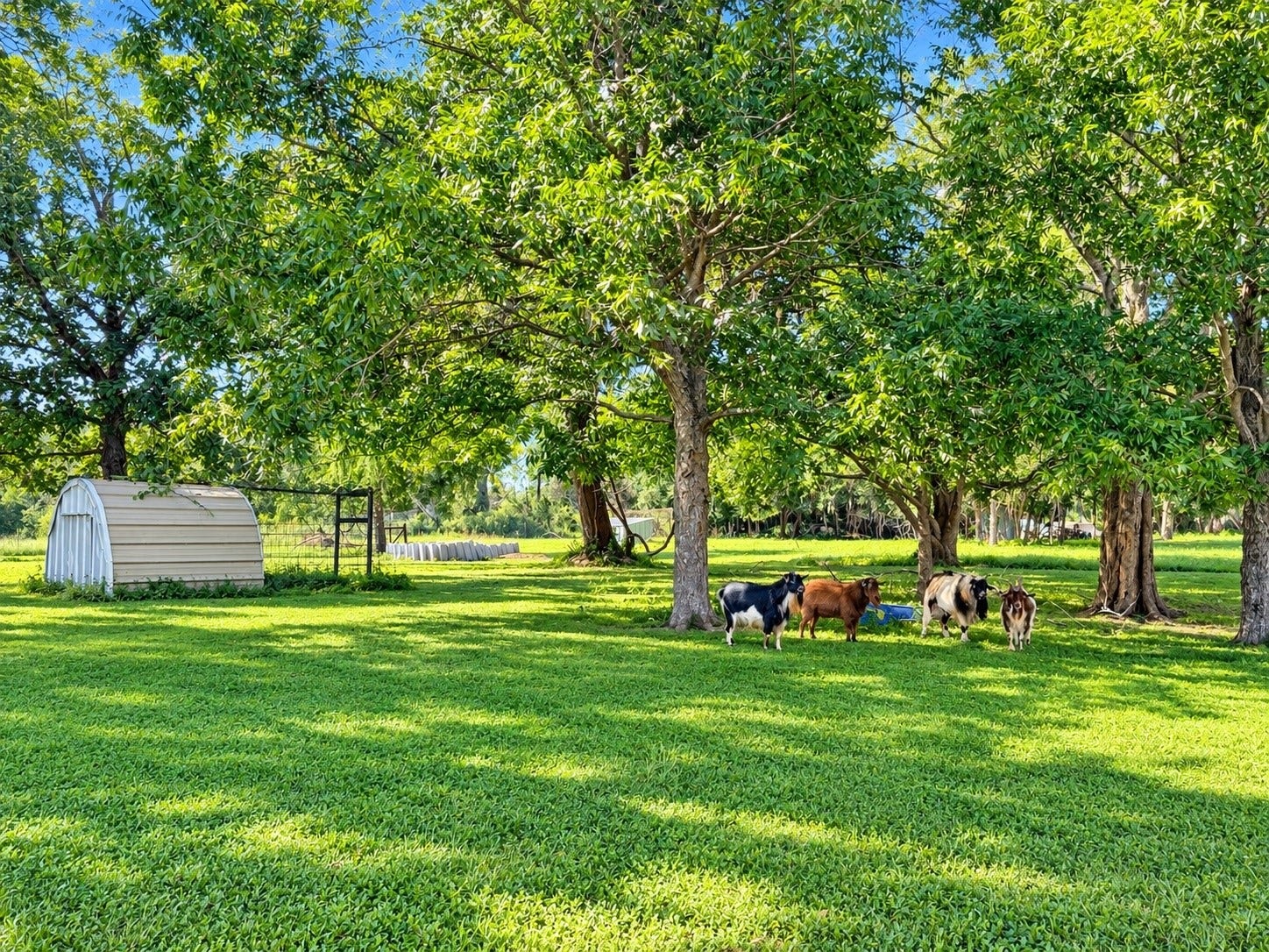 5762 County Road 244, Brazoria, TX 77422 5762 County Road 244, Brazoria, TX 77422