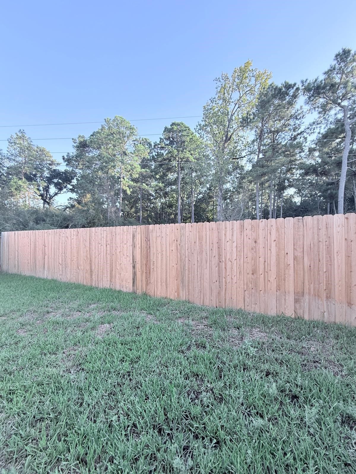 8011 Heroes Hall Drive, Magnolia, TX 77354