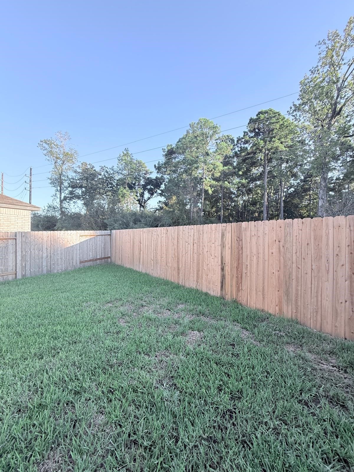 8011 Heroes Hall Drive, Magnolia, TX 77354