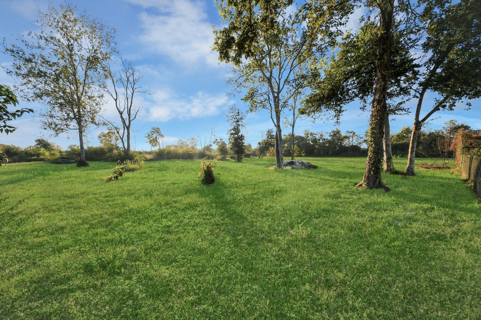 4503 Patterson Lane, Manvel, TX 77578 4503 Patterson Lane, Manvel, TX 77578