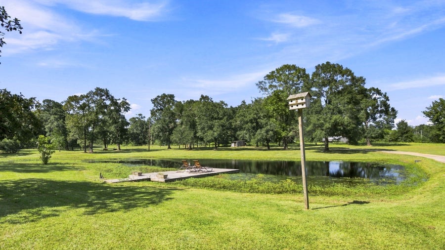 Property photo for 8952 County Line Road, Willis, TX