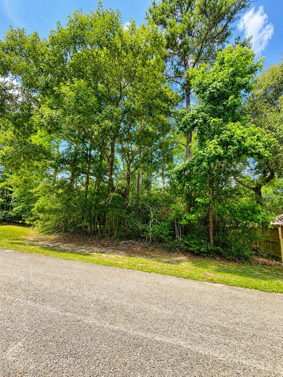 Property photo for 0 Ridgecrest, Magnolia, TX