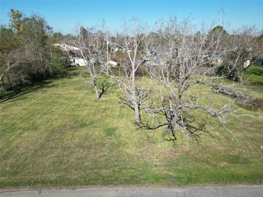 Property photo for 409 Carlton Street, Brazoria, TX