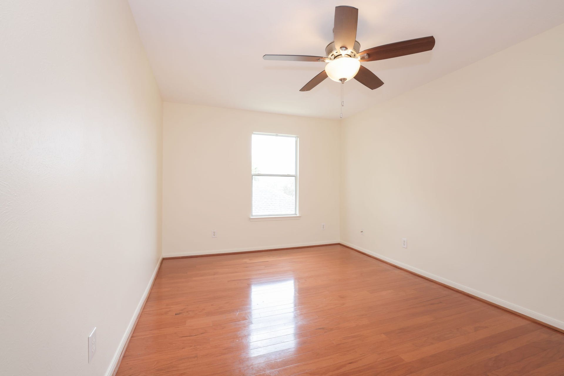 8823 Catawissa Drive, Houston, TX 77095 8823 Catawissa Drive, Houston, TX 77095