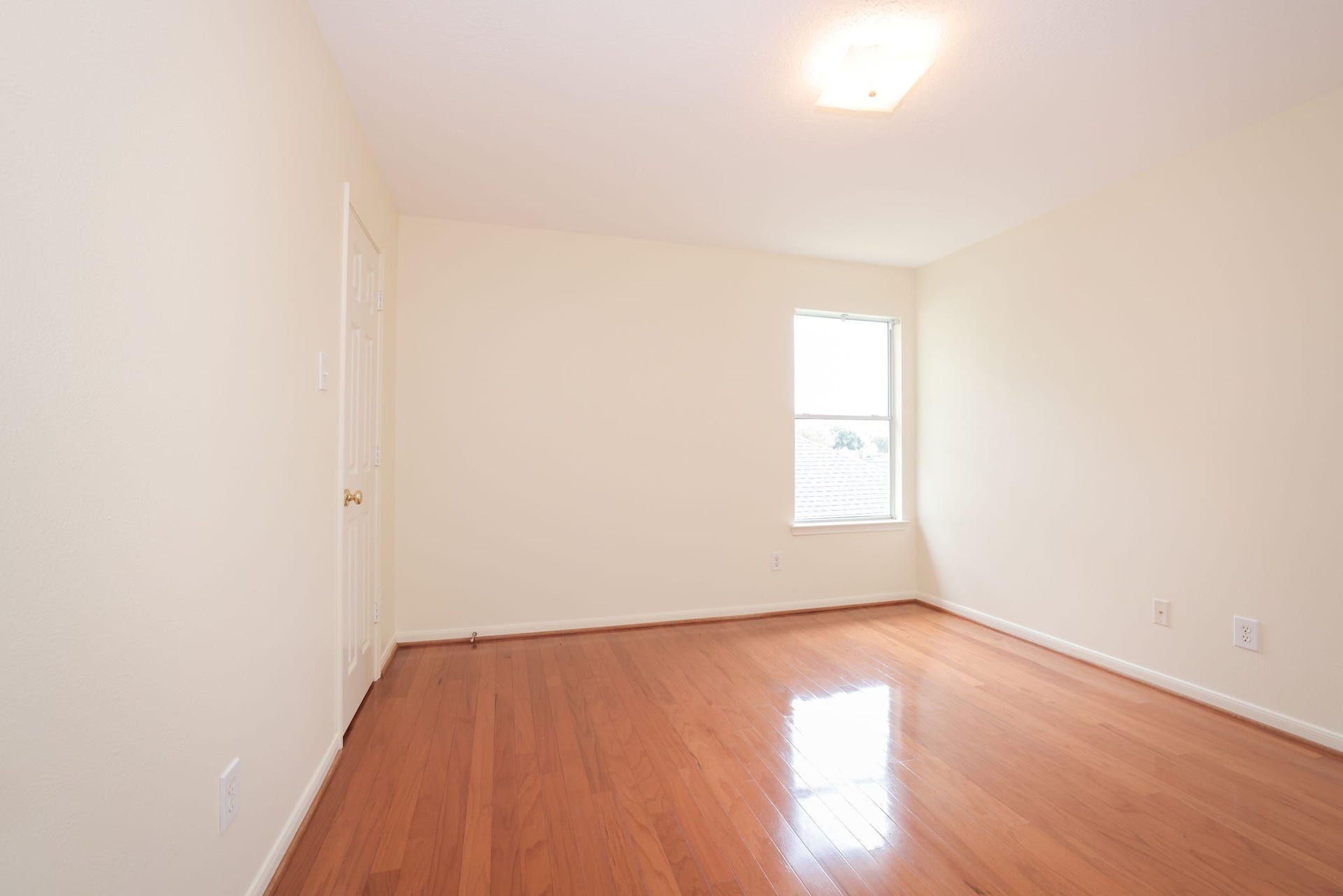 8823 Catawissa Drive, Houston, TX 77095 8823 Catawissa Drive, Houston, TX 77095