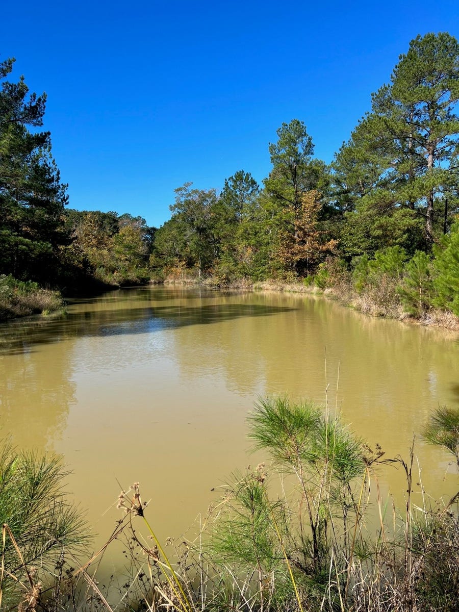 Property photo for 31517 Bohlssen Road, New Caney, TX