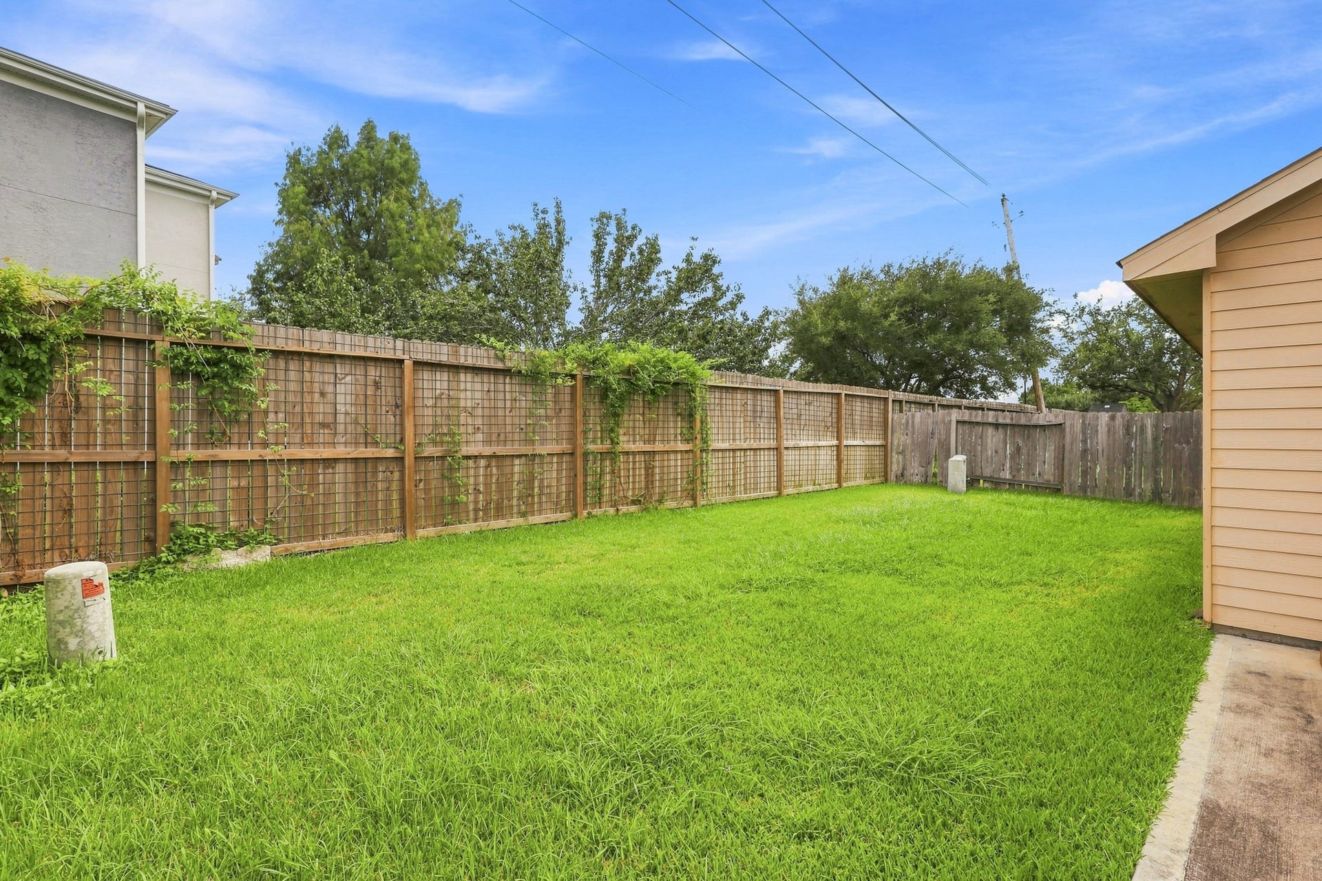 Spacious backyard with green lawn and full fencing