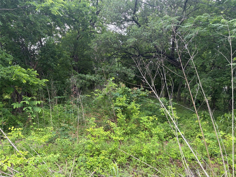Property photo for 3706 Farmer Street, Houston, TX