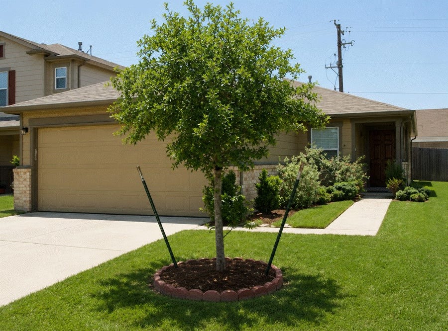 Property photo for 8515 Westknoll Lane, Houston, TX