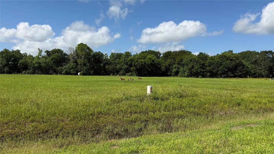 Property photo for 1008 Chuckwagon Trail, Angleton, TX