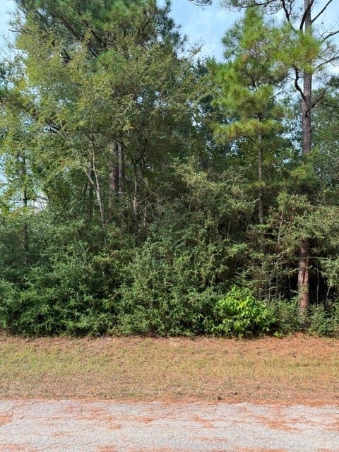 Property photo for 0 TBD Little John Circle, Hockley, TX