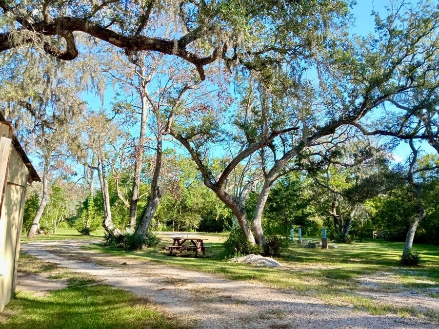 Property photo for 17628 County Road 426, Brazoria, TX