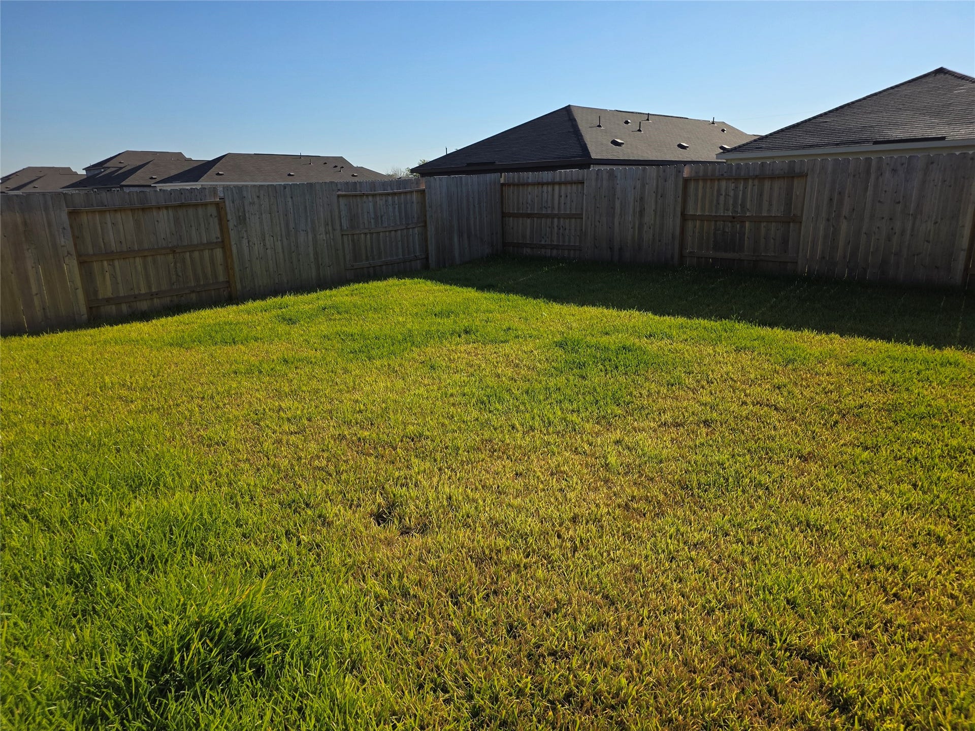 5007 Wild Bergamot Court, Needville, TX 77461 5007 Wild Bergamot Court, Needville, TX 77461