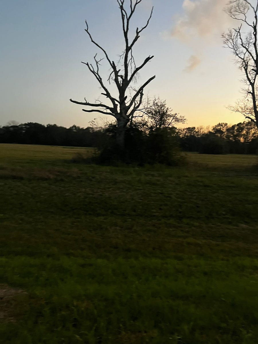 Property photo for 1007 Chuckwagon Trail, Angleton, TX
