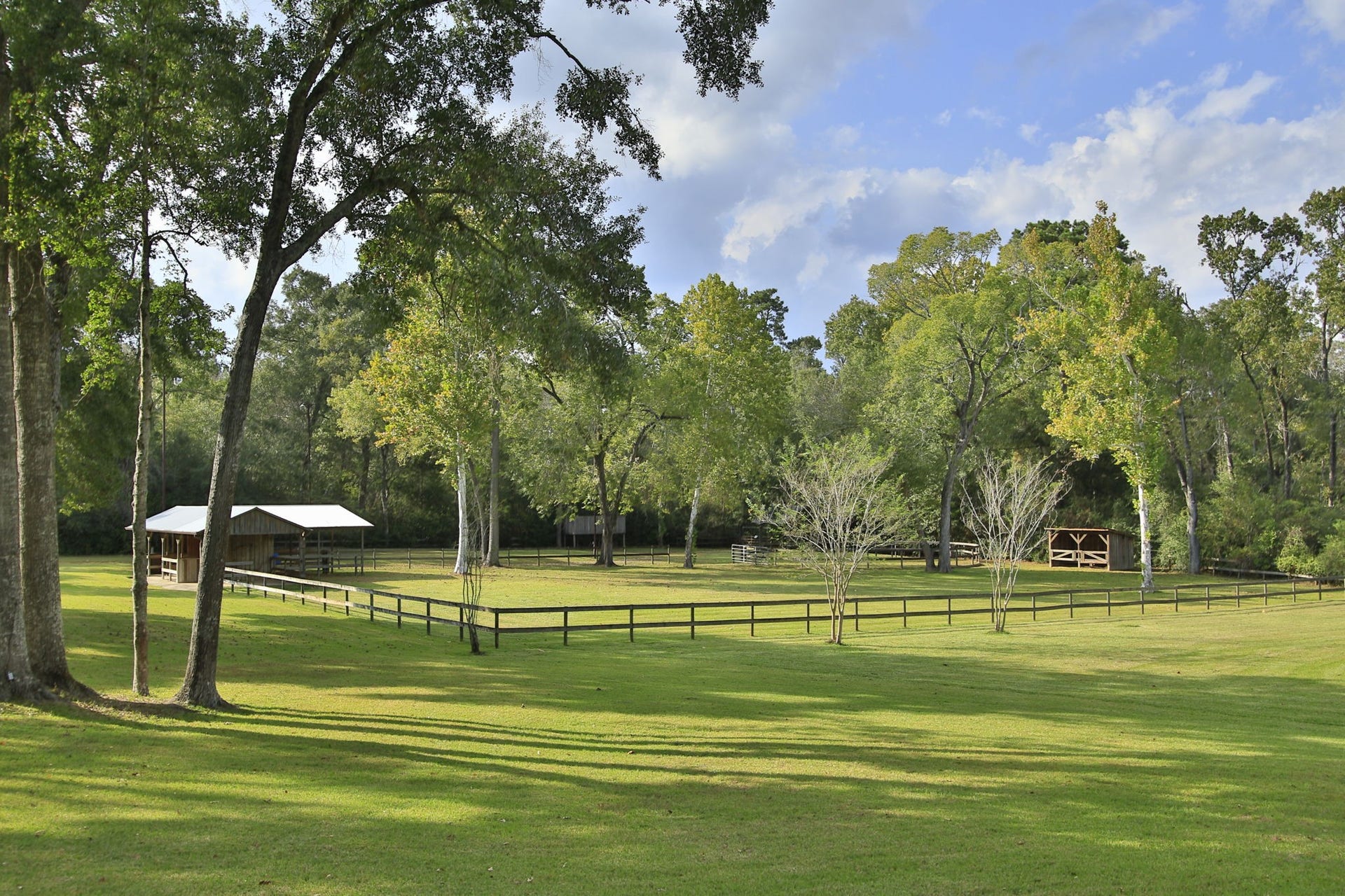 23107 Kobs Road, Tomball, TX 77377 This photo showcases a serene, fenced pasture with lush green grass and mature trees, ideal for equestrian activities or a peaceful retreat. The barn offers shelter, all under a clear, blue sky.