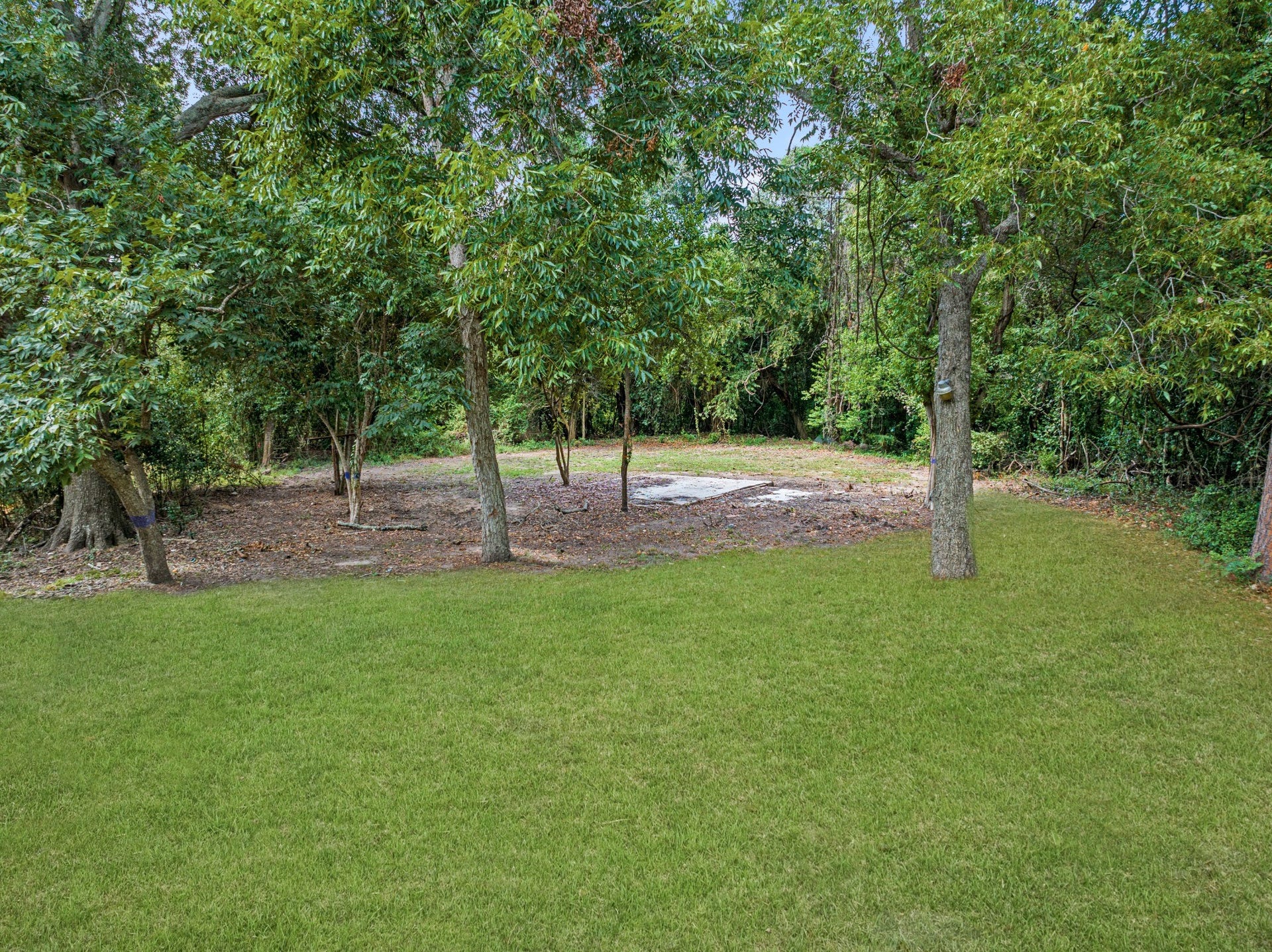 703 Newton Drive, Richmond, TX 77469 Additional view of the property's expansive yard, featuring established trees, open lawn, and a wooded backdrop.