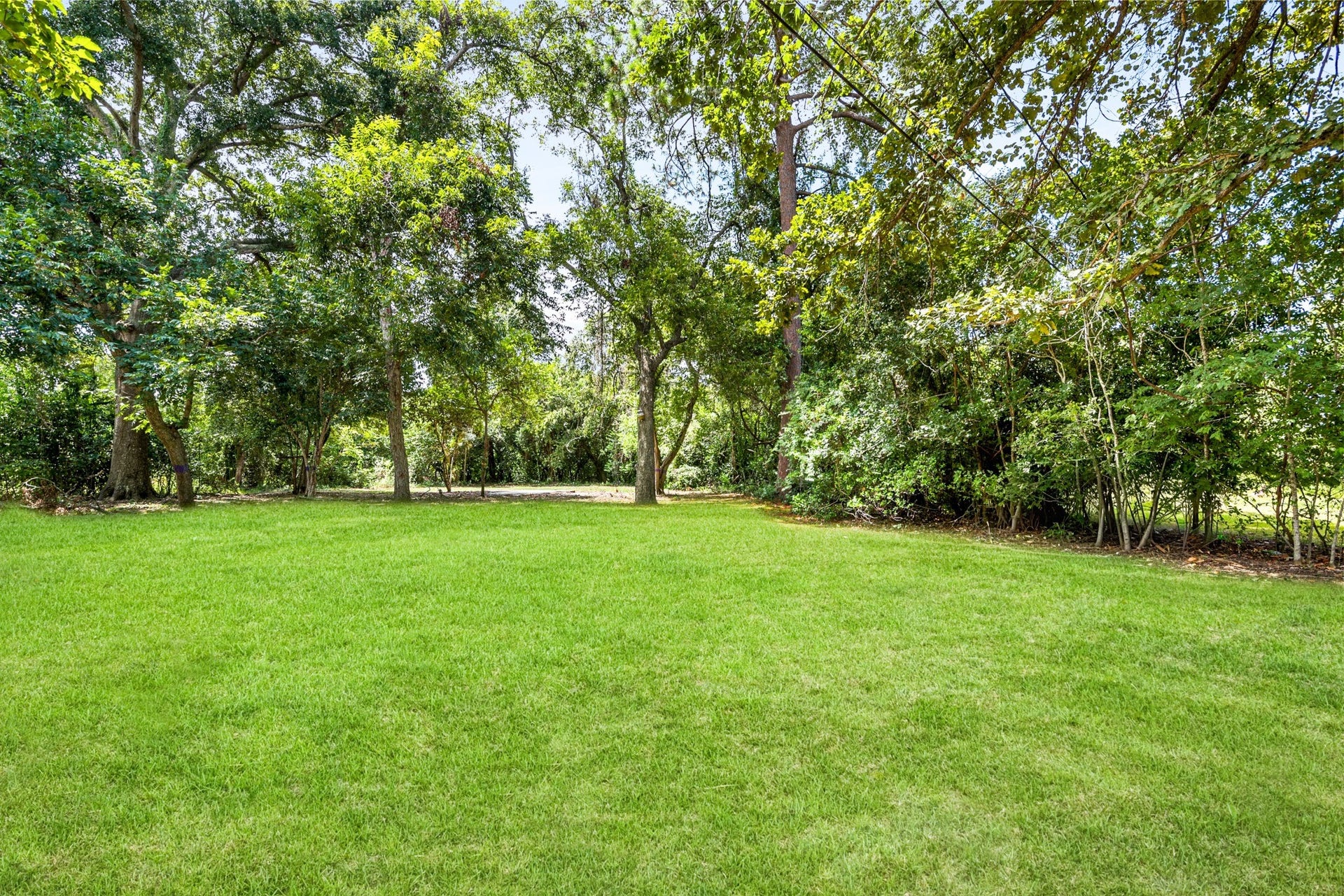 703 Newton Drive, Richmond, TX 77469 Wide view of the sprawling green lawn and mature trees, offering plenty of space to enjoy the nearly one-acre property.