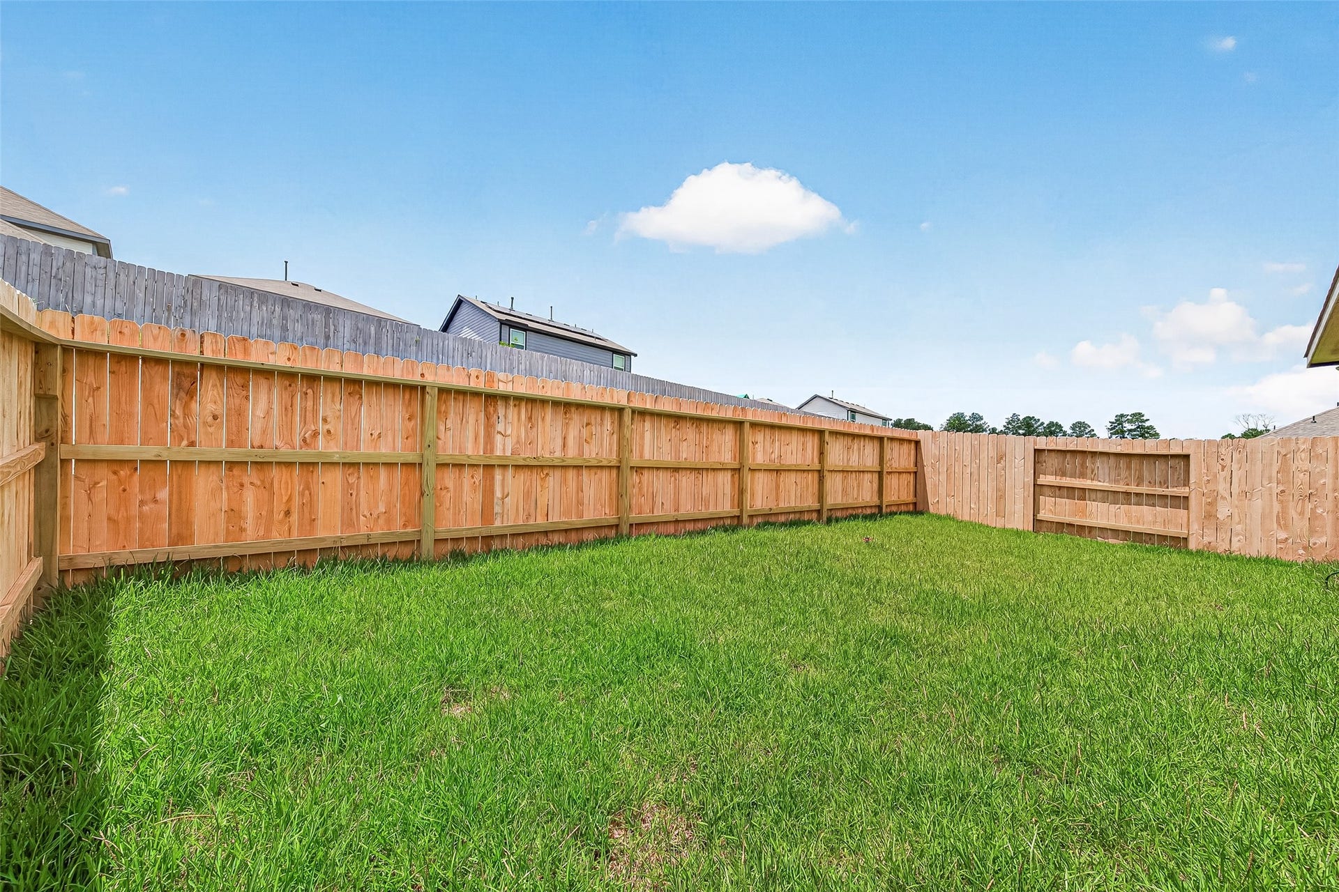 12959 Daniel Springs Lane, Magnolia, TX 77354