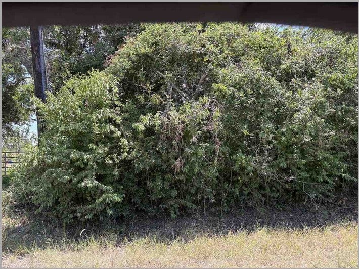 9935 County Road 67, Manvel, TX 77578 9935 County Road 67, Manvel, TX 77578
