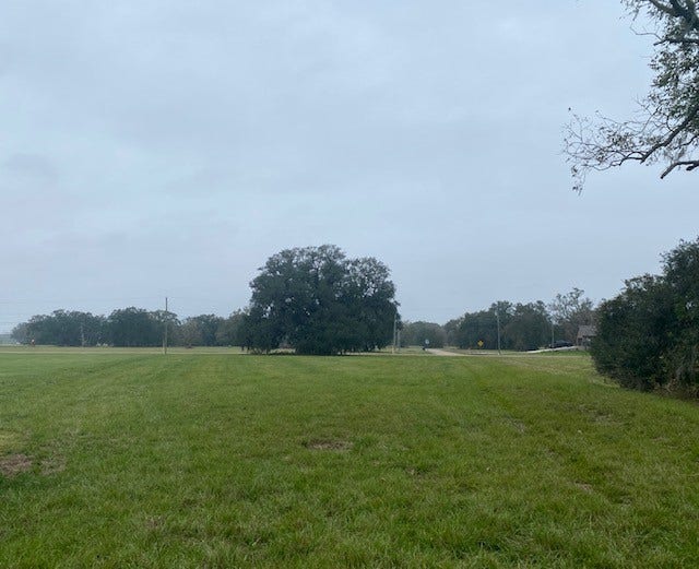 Property photo for 218 Cattle Drive Trail, Angleton, TX