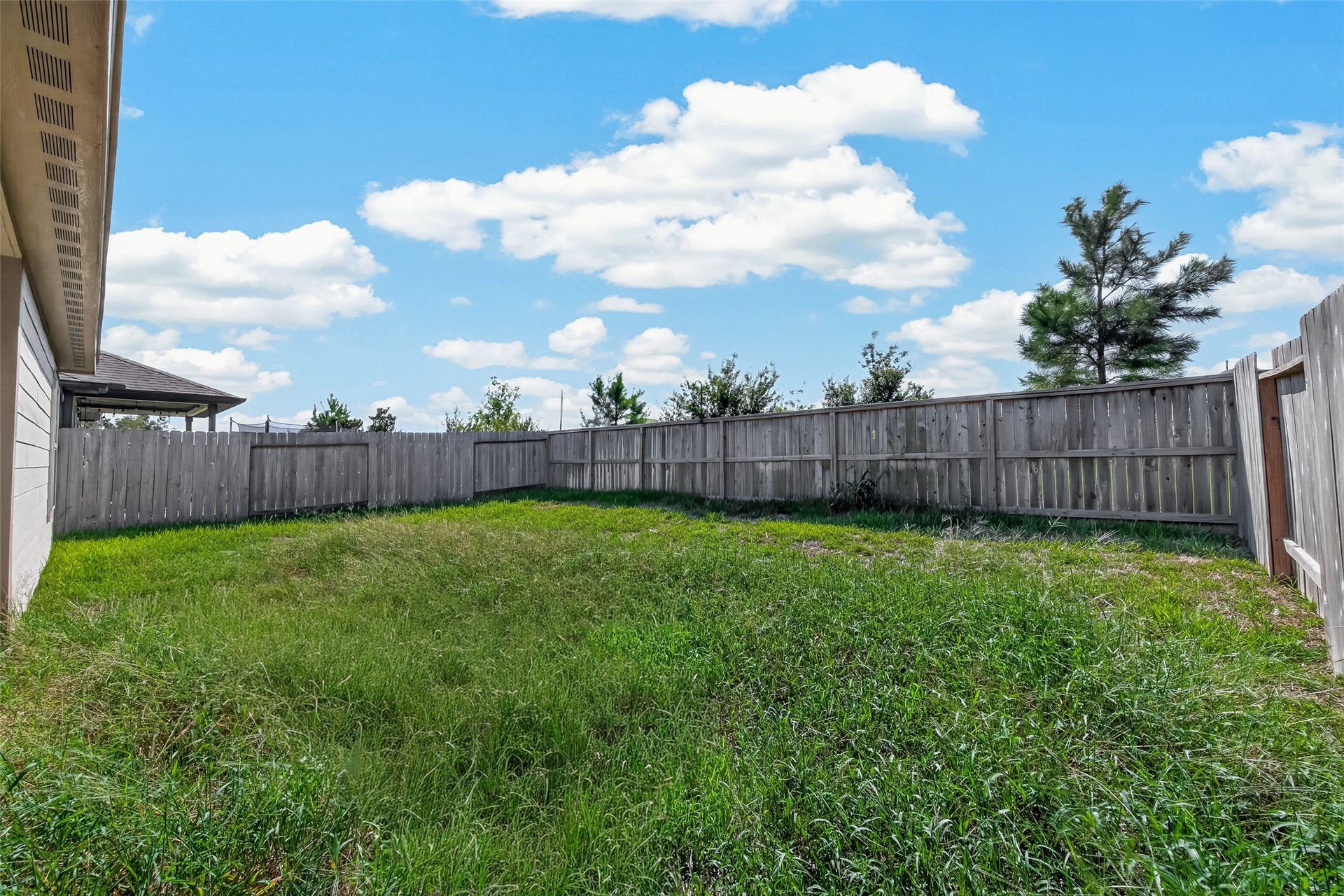25471 Blue Mistflower Drive, Montgomery, TX 77316 Backyard looking to the SE from the patio cover