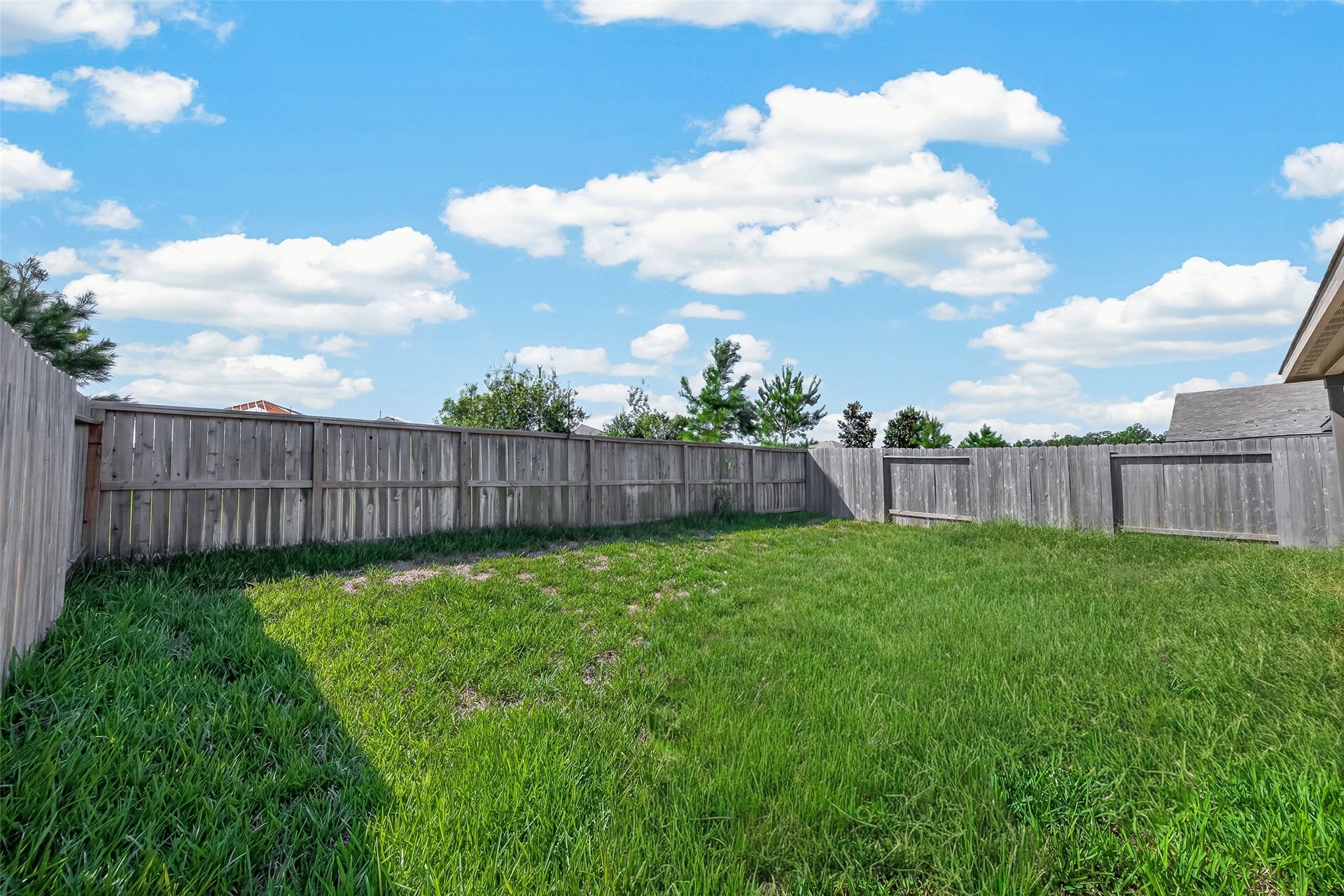 25471 Blue Mistflower Drive, Montgomery, TX 77316 Backyard view looking to the SW