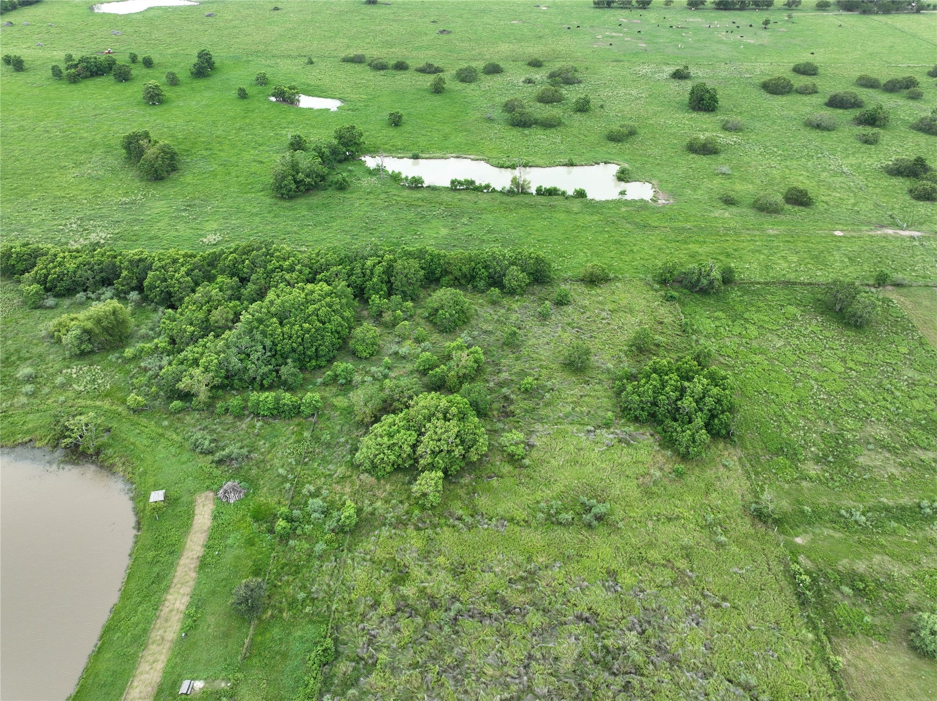 7702 Vincik Ehlert Road, Rosenberg, TX 77471 7702 Vincik Ehlert Road, Rosenberg, TX 77471
