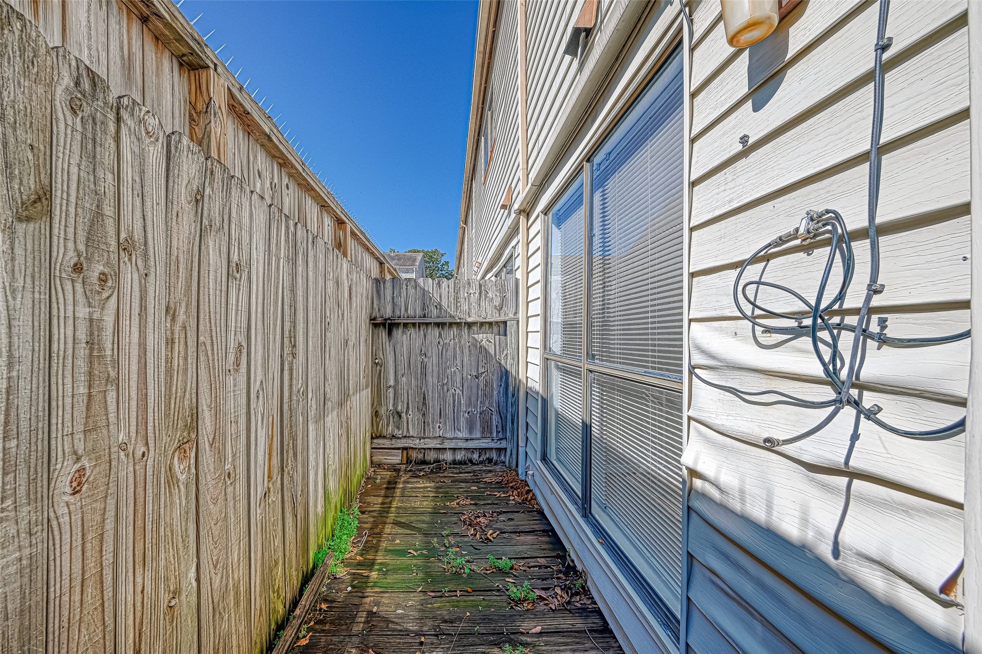 Side yard