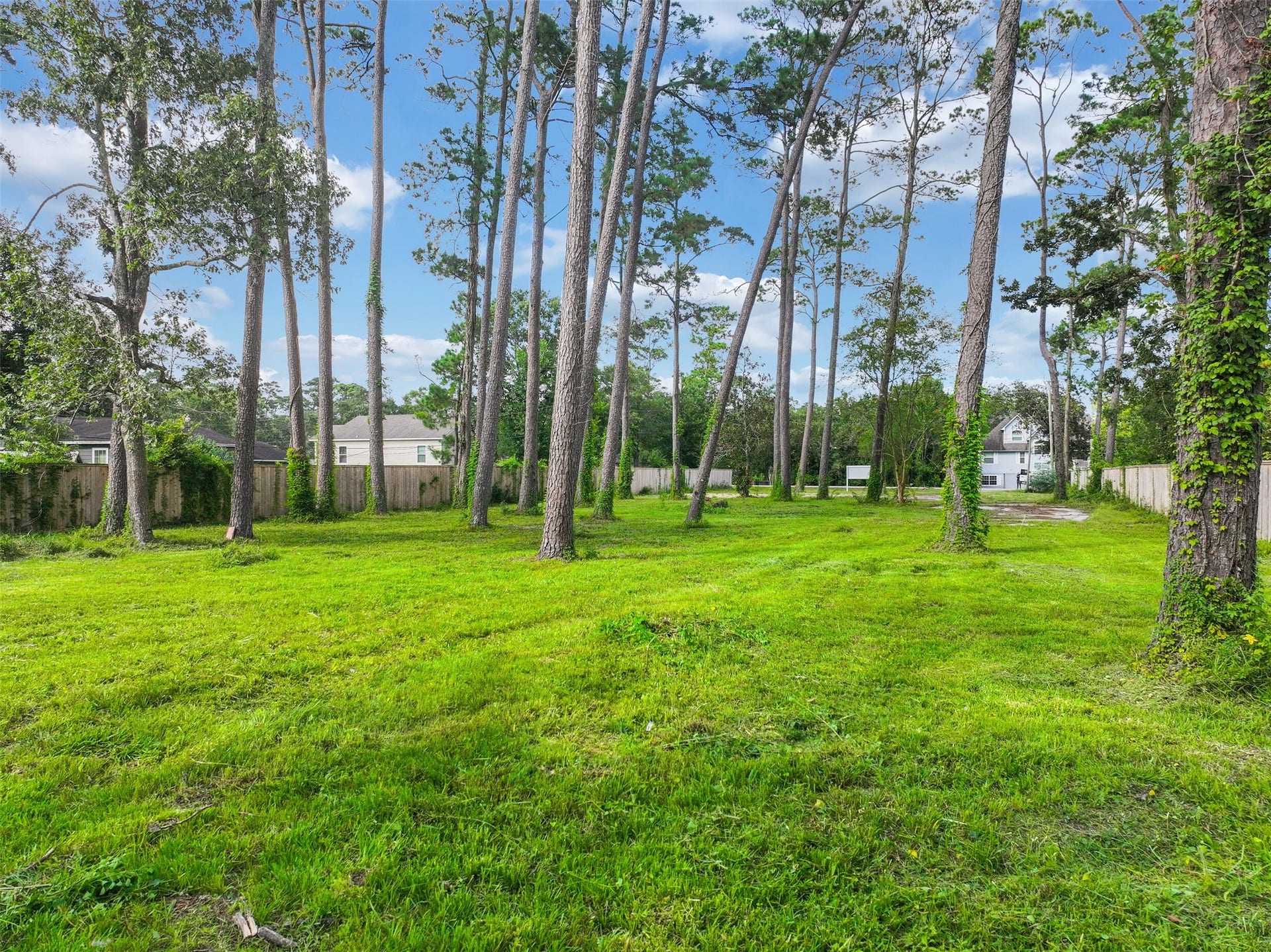 3219 Oak Drive, Dickinson, TX 77539 3219 Oak Drive, Dickinson, TX 77539