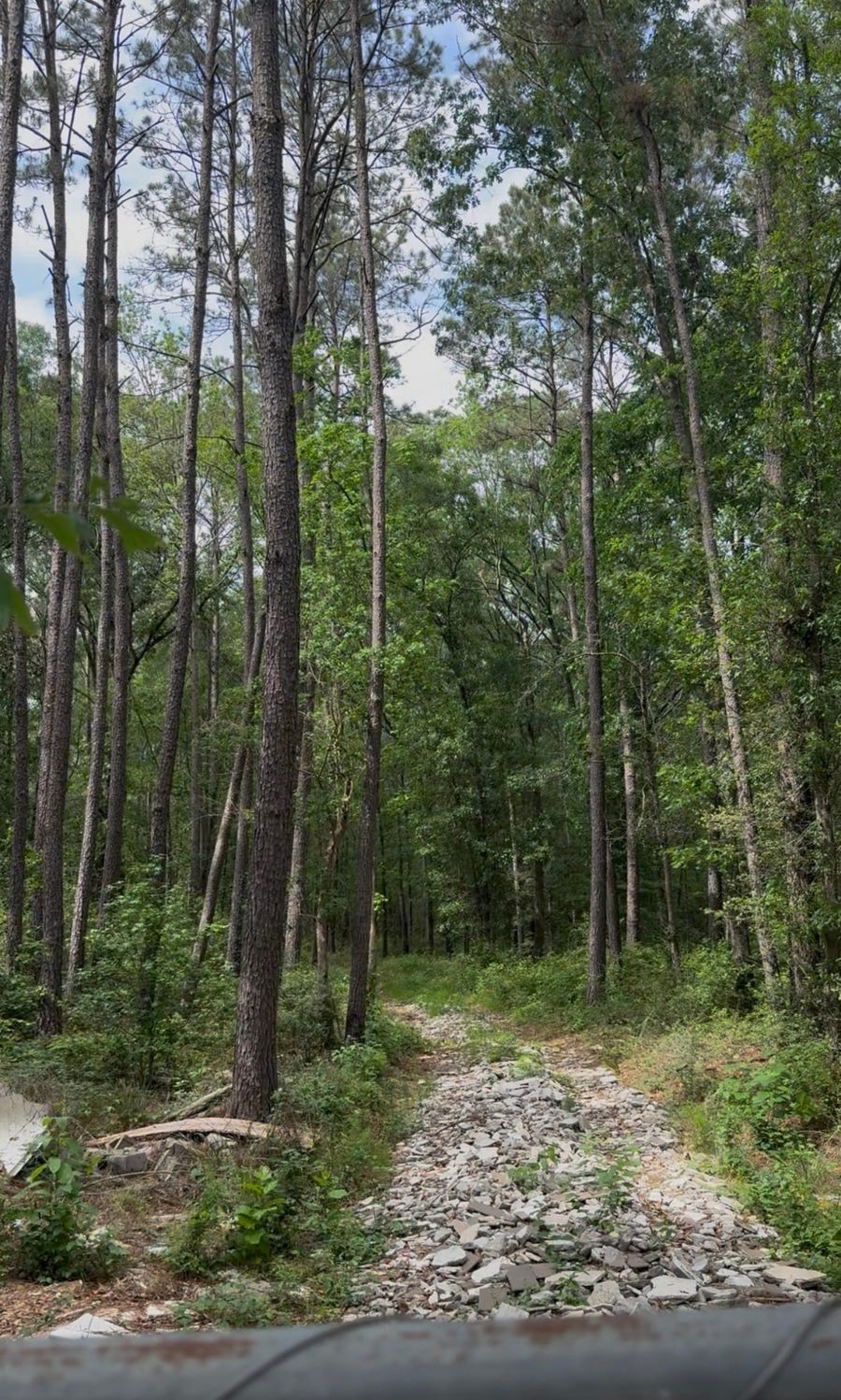 Property photo for 0 Old Hwy 105 E, Cleveland, TX