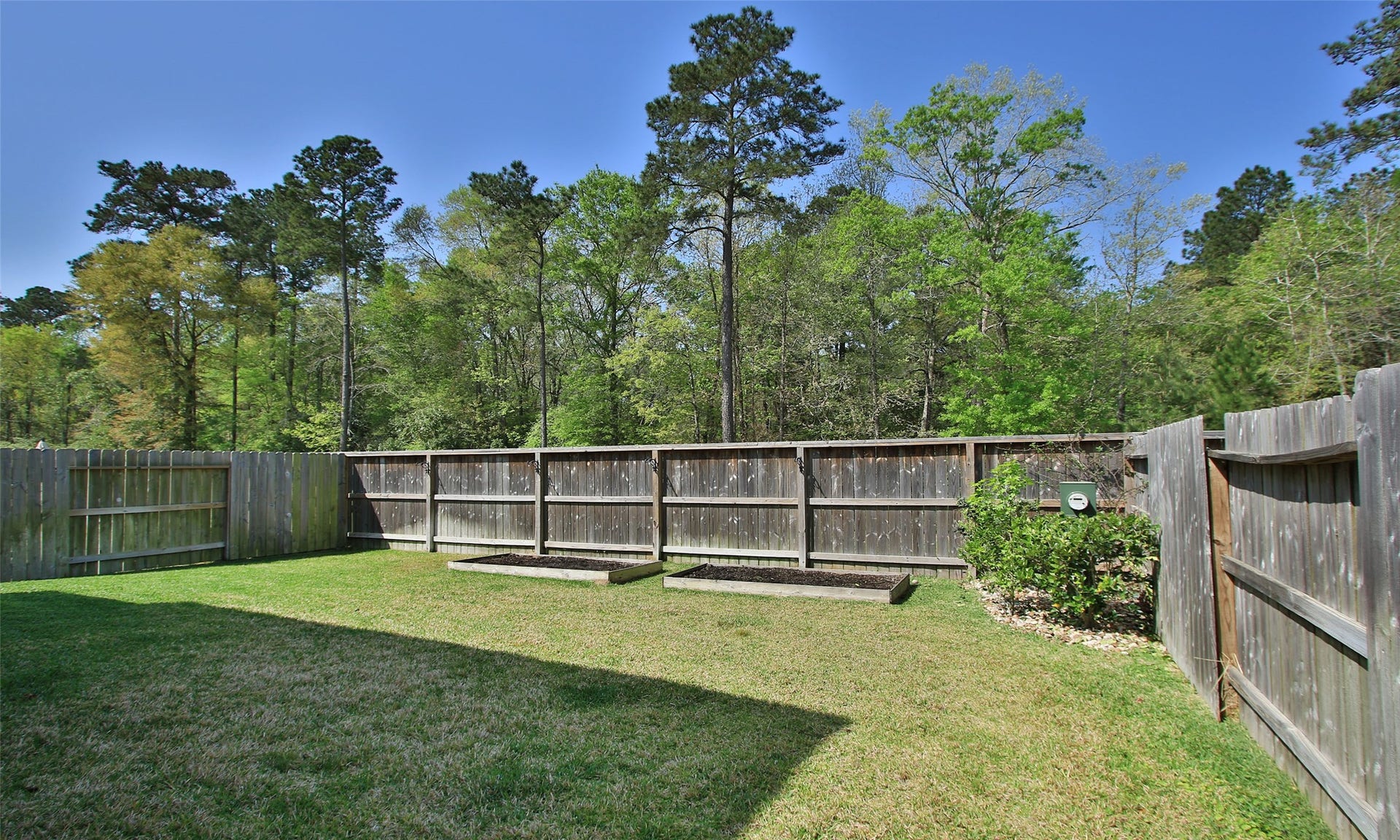 177 Emory Birch Drive, Montgomery, TX 77316 177 Emory Birch Drive, Montgomery, TX 77316