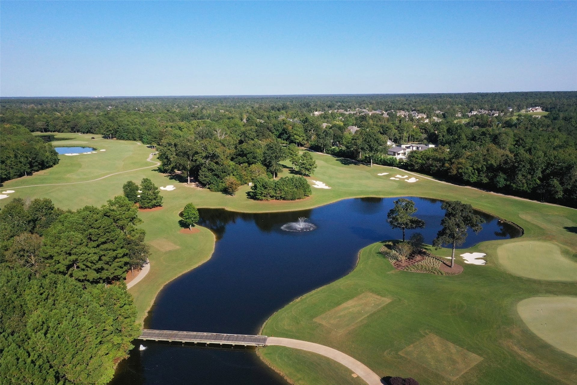 177 Emory Birch Drive, Montgomery, TX 77316 177 Emory Birch Drive, Montgomery, TX 77316