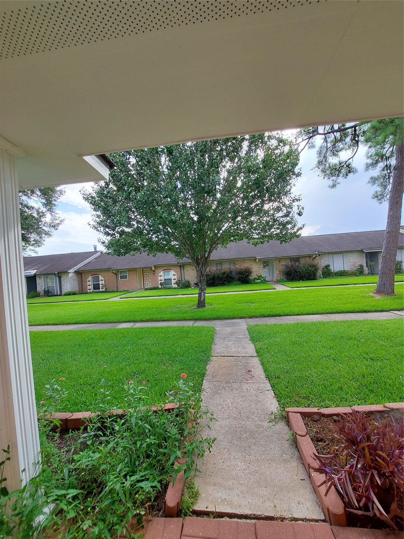 3878 Laura Leigh Drive, Friendswood, TX 77546 Charming view from a covered patio overlooking a lush green lawn and mature trees, offering a serene and inviting outdoor space.