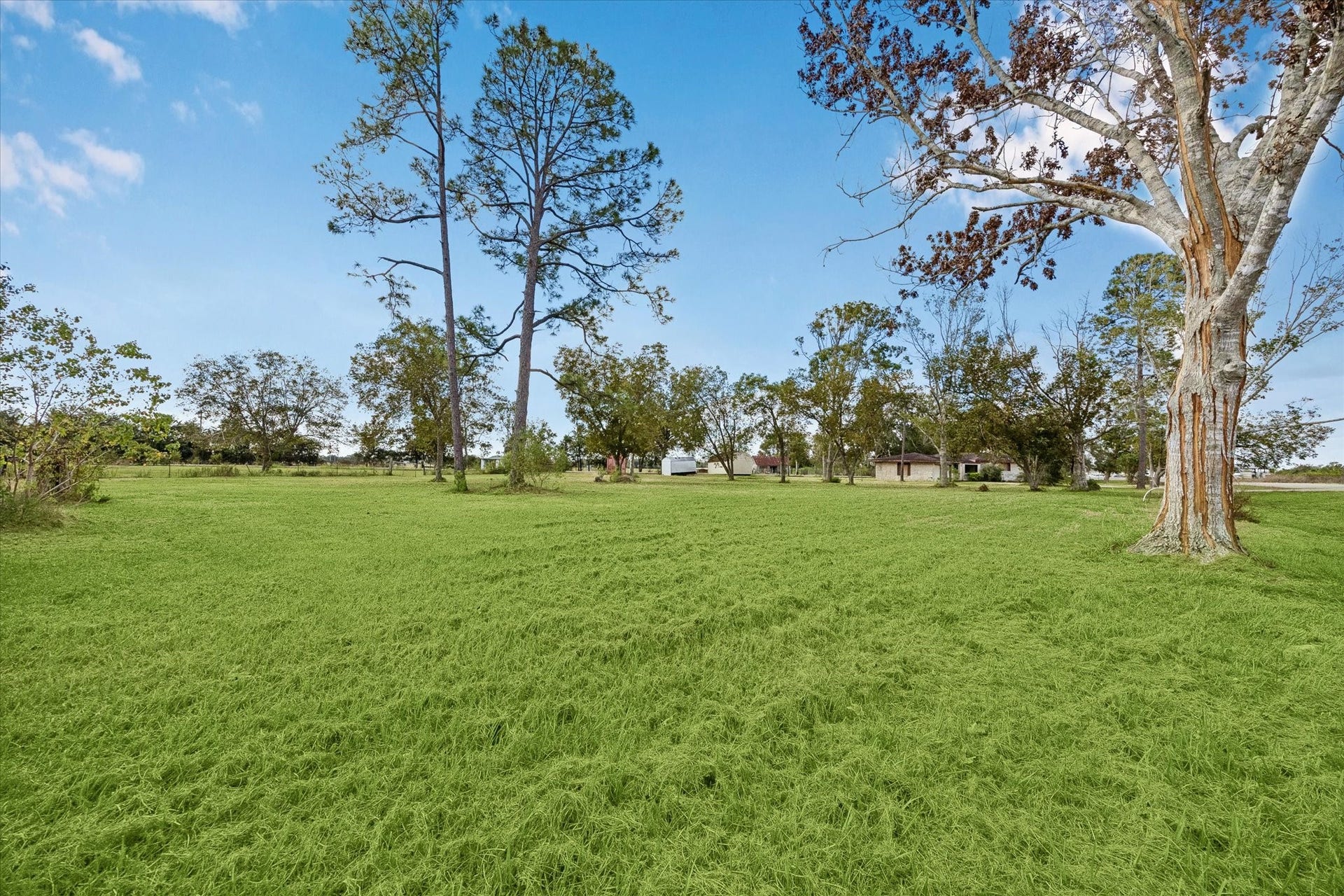 1513 County Road 210, Angleton, TX 77515