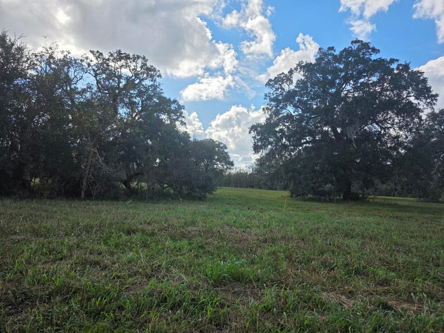 Property photo for 340 Pony Trail, Angleton, TX