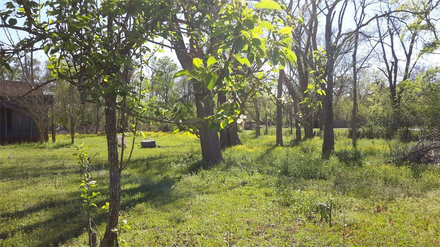 Property photo for 8826 W Humble Westfield Road, Humble, TX