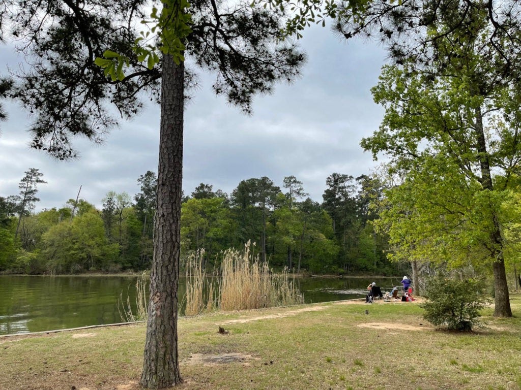 19608 Montgomery Ridge Way, Montgomery, TX 77316 Scott's Ridge Recreation Area, a day-use swim beach located within the national forest