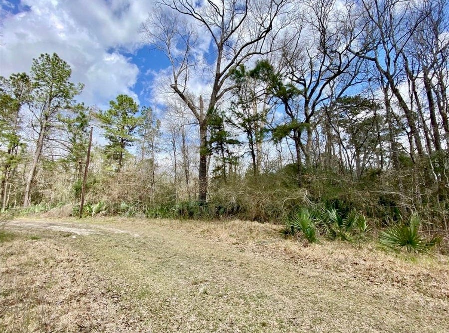 Property photo for 0 Puppy Lane, Crosby, TX