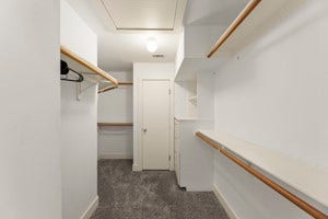 Large Walk-in Closet