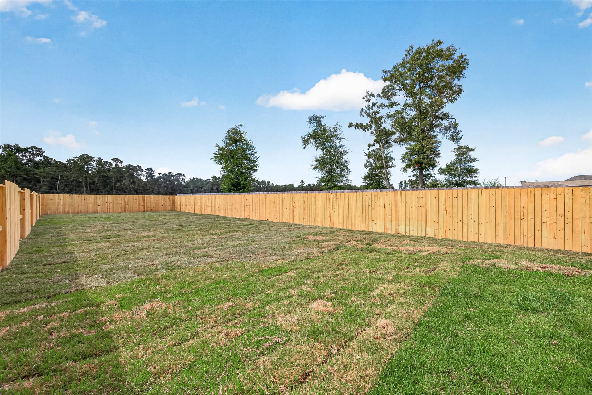 1234 Peter Pine St A/B, Huffman, TX 77336 Unit A. Representative photo of another listing featuring the same layout and finishes.