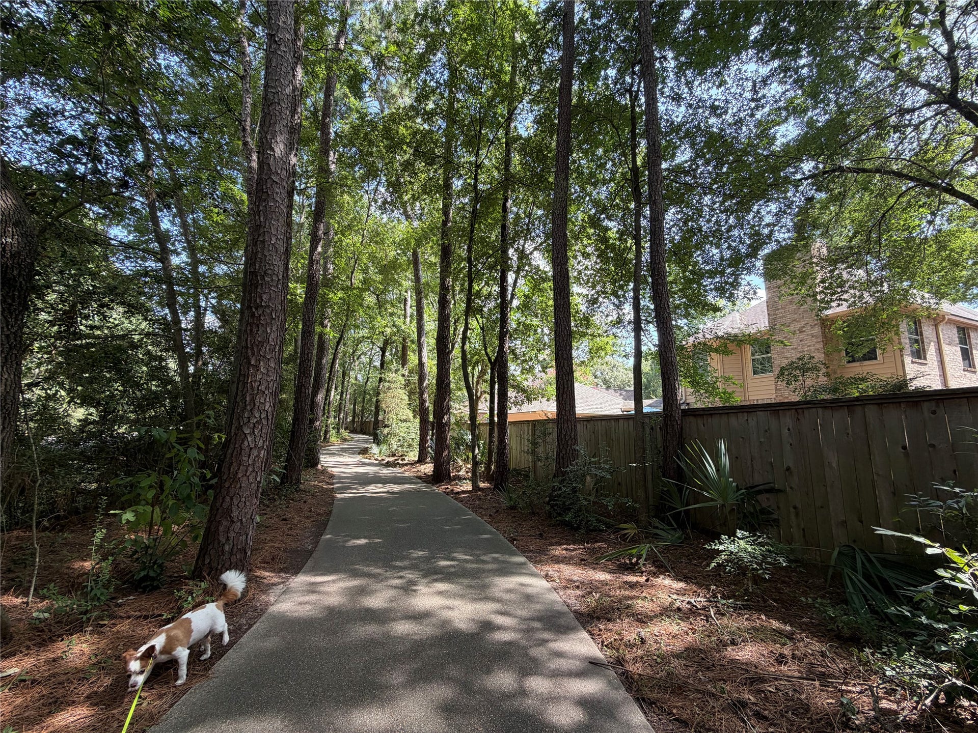 26 Cinnamon Teal Place, The Woodlands, TX 77382 The backyard opens directly onto a walking trail.