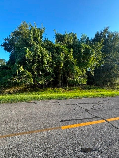 Property photo for 1103 W Point Drive, Rosharon, TX