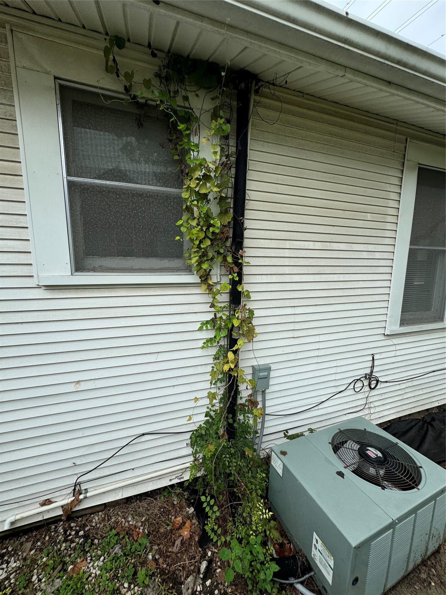 901 W 13th, Houston, TX 77008