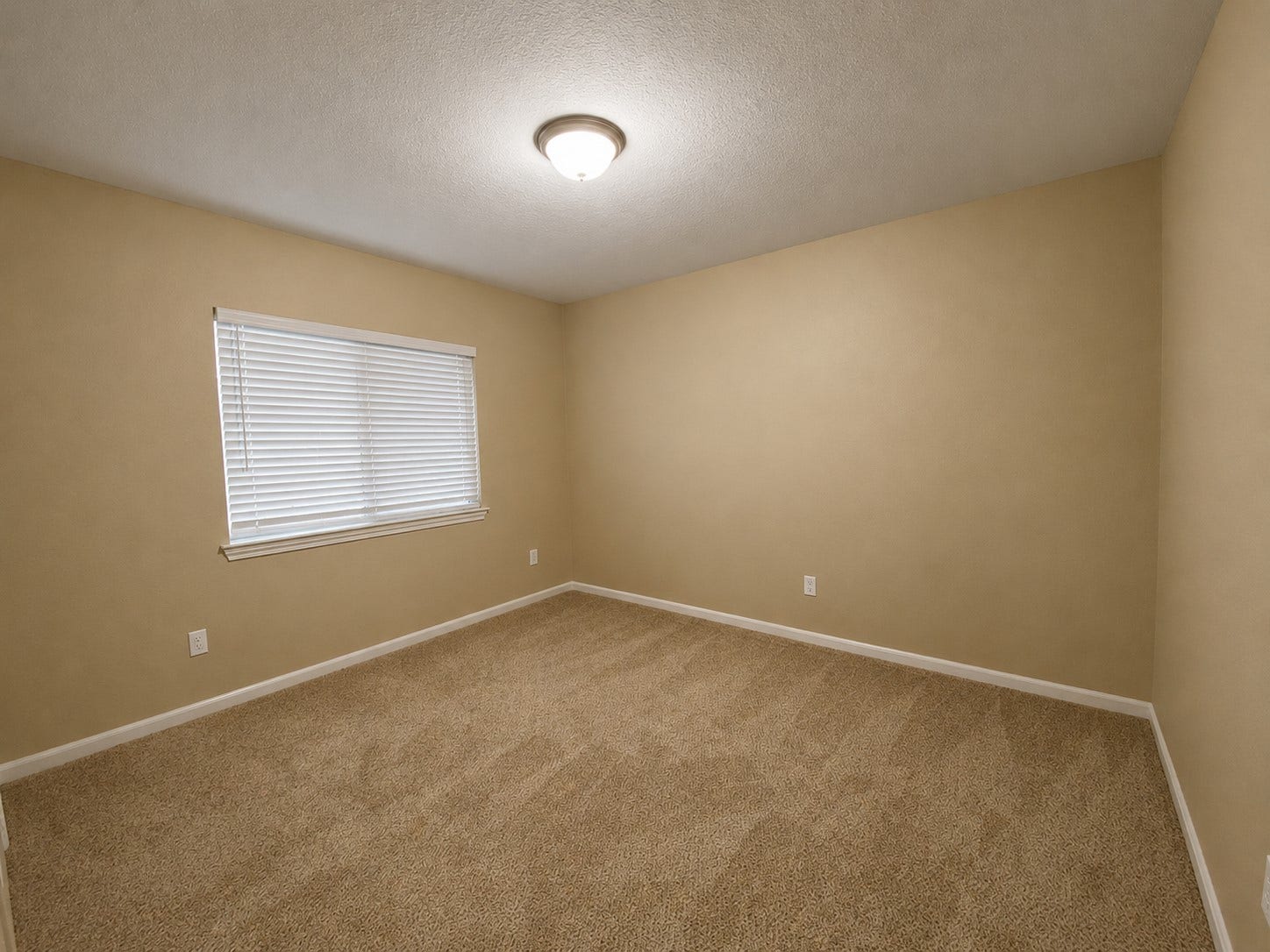 215 Doncaster Street, Conroe, TX 77303 215 Doncaster Street, Conroe, TX 77303